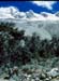 andes_rancher_cropped