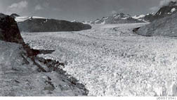 Confluence of Muir and Riggs Glaciers in 1941